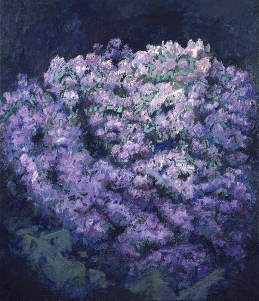 Rhododendron-Herz